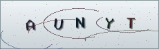 Codice anti-spam