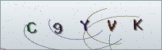 Codice anti-spam