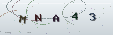 Codice anti-spam