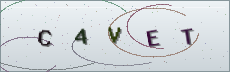 Codice anti-spam