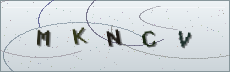 Codice anti-spam