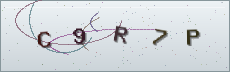 Codice anti-spam