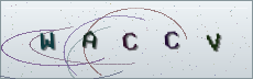 Codice anti-spam