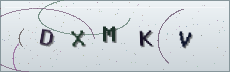 Codice anti-spam