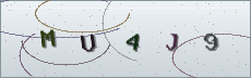 Codice anti-spam
