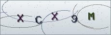 Codice anti-spam