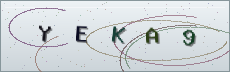 Codice anti-spam