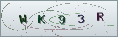 Codice anti-spam