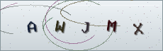 Codice anti-spam