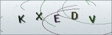 Codice anti-spam