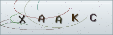 Codice anti-spam