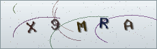Codice anti-spam