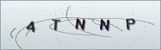 Codice anti-spam