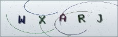 Codice anti-spam