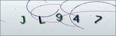 Codice anti-spam
