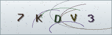 Codice anti-spam