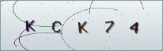 Codice anti-spam