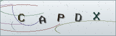 Codice anti-spam