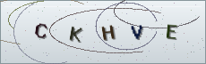 Codice anti-spam