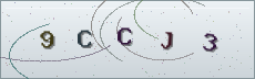 Codice anti-spam
