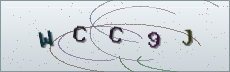 Codice anti-spam