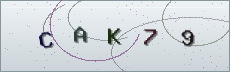 Codice anti-spam