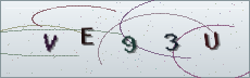Codice anti-spam