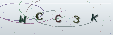 Codice anti-spam