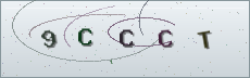 Codice anti-spam