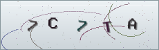 Codice anti-spam
