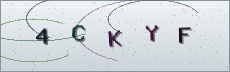 Codice anti-spam