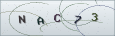 Codice anti-spam