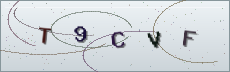 Codice anti-spam