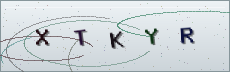 Codice anti-spam