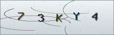 Codice anti-spam