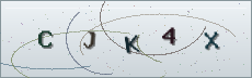 Codice anti-spam