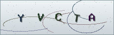 Codice anti-spam