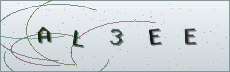 Codice anti-spam