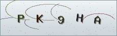 Codice anti-spam