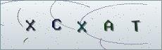 Codice anti-spam