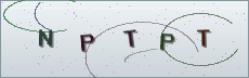 Codice anti-spam